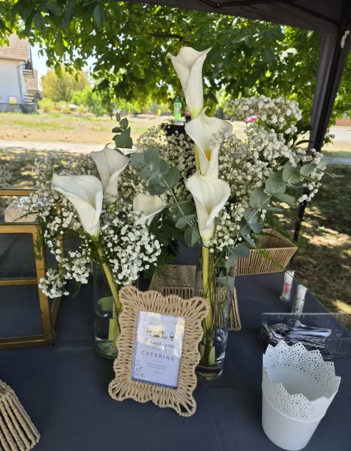 catering-baranjska-prica-03
