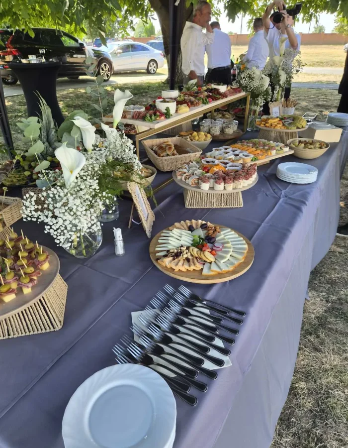 catering-baranjska-prica-06