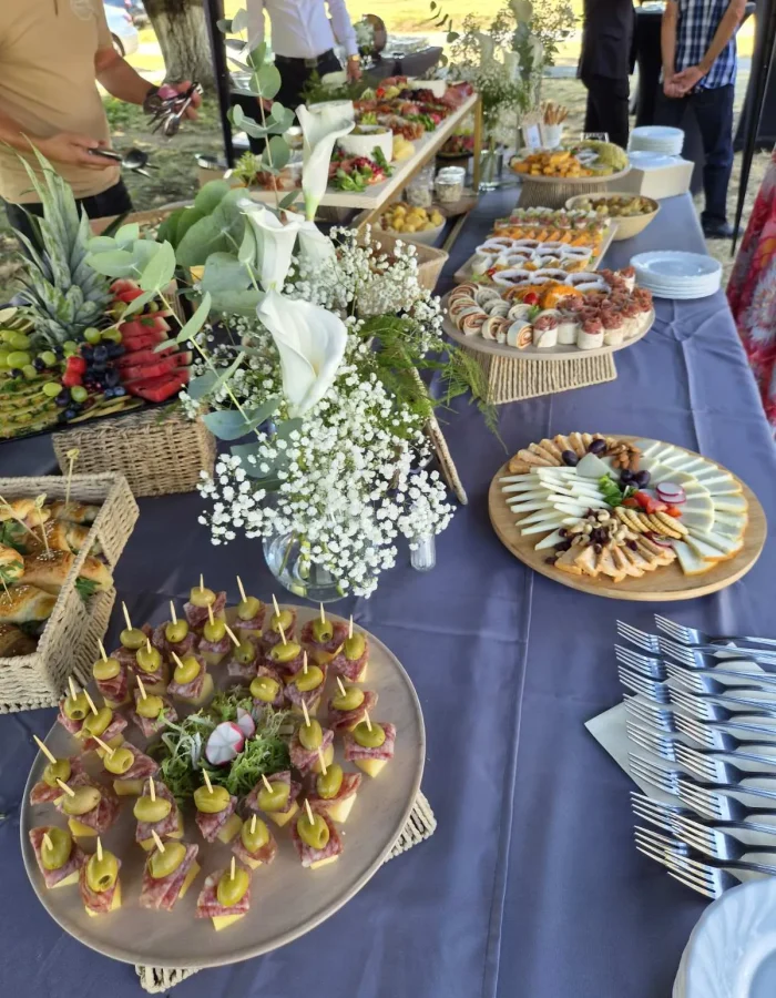 catering-baranjska-prica-09